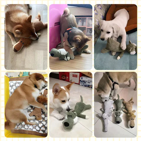 Invinci Paw | Heavy-Duty Dog Chew Toy with Teeth Cleaning Design | Durable Companion for All Chewers 8