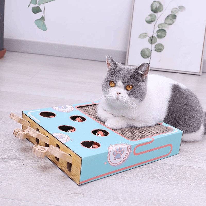 3-in-1 Cat Toy with Durable Cardboard Design | Engaging Play Toys for Active Cats 2