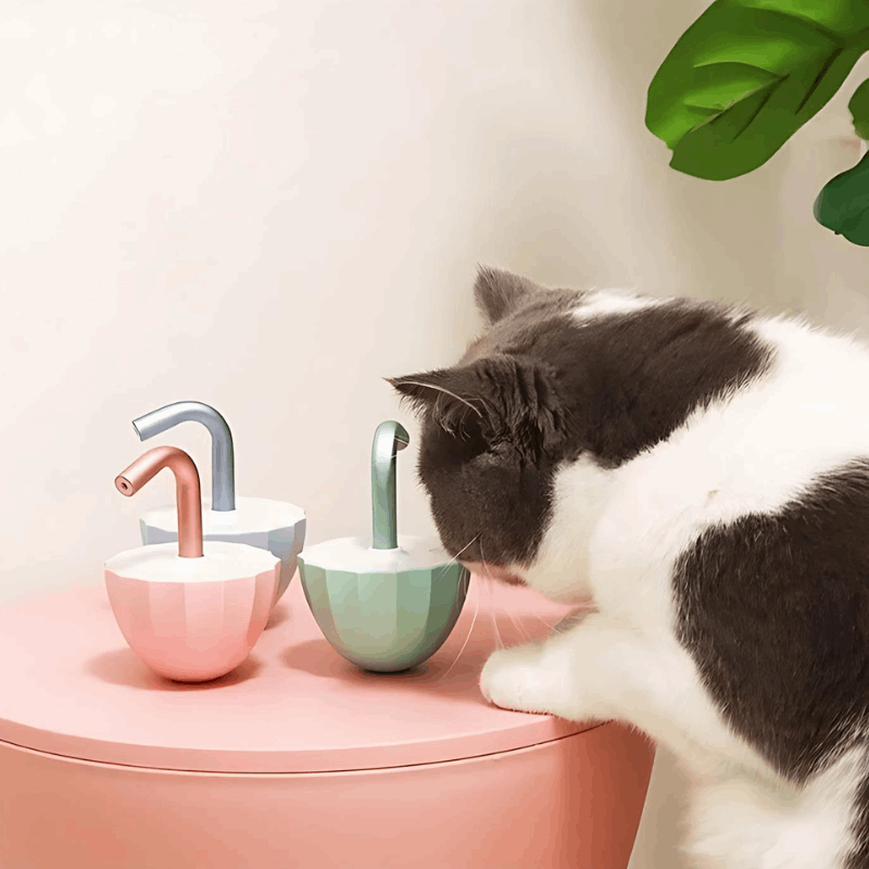 LaserChase | Interactive Cat Toy with 360° Beam Rotation | Engaging Playtime for Active Cats 1