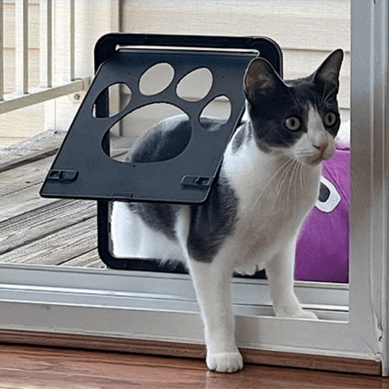 Magnetic Pet Door | Screen Door with Dog Door for Easy Pet Access & Insect Protection 1