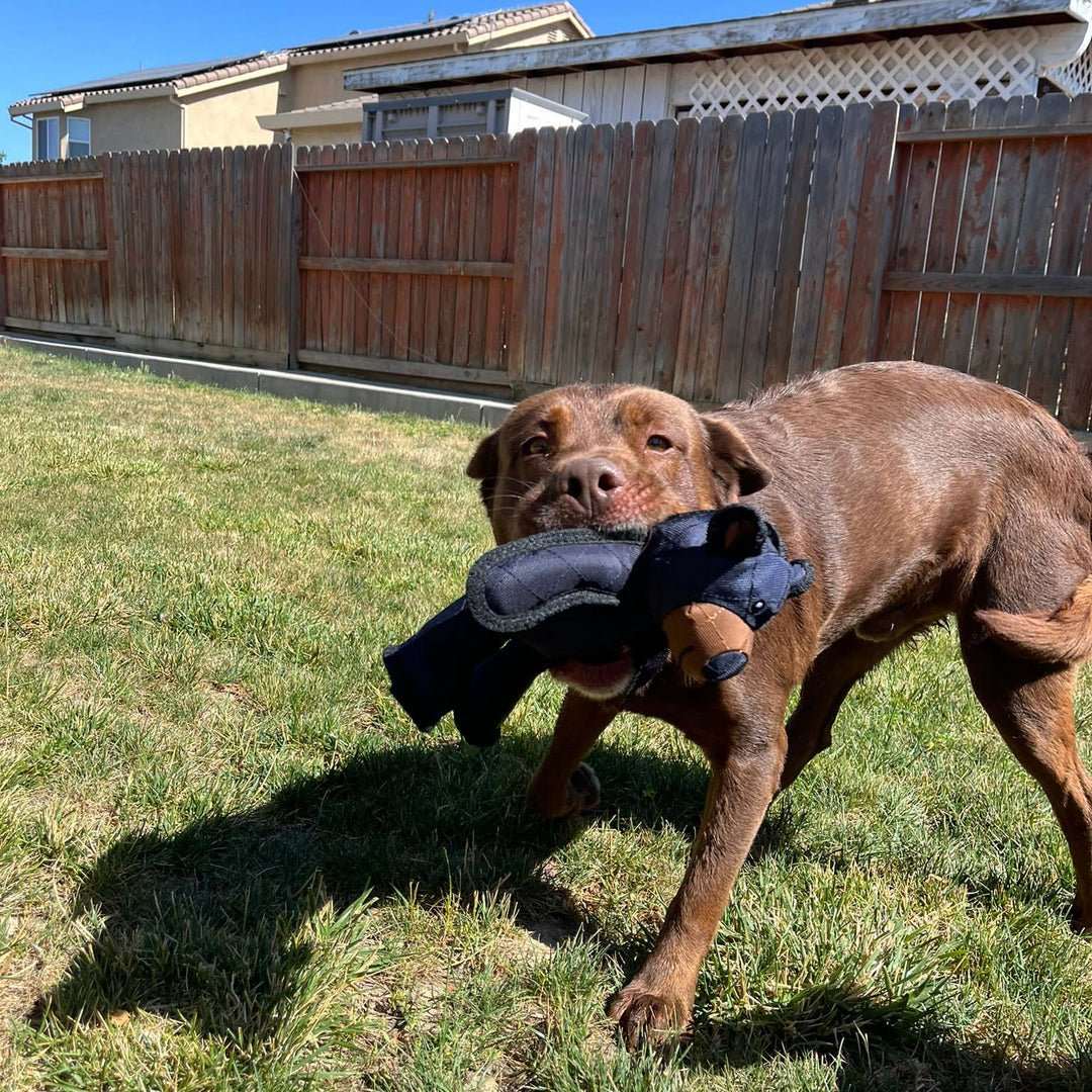 MightyBear | Indestructible Dog Toy with Interactive Squeaker | Durable Fun for Heavy Chewers 3