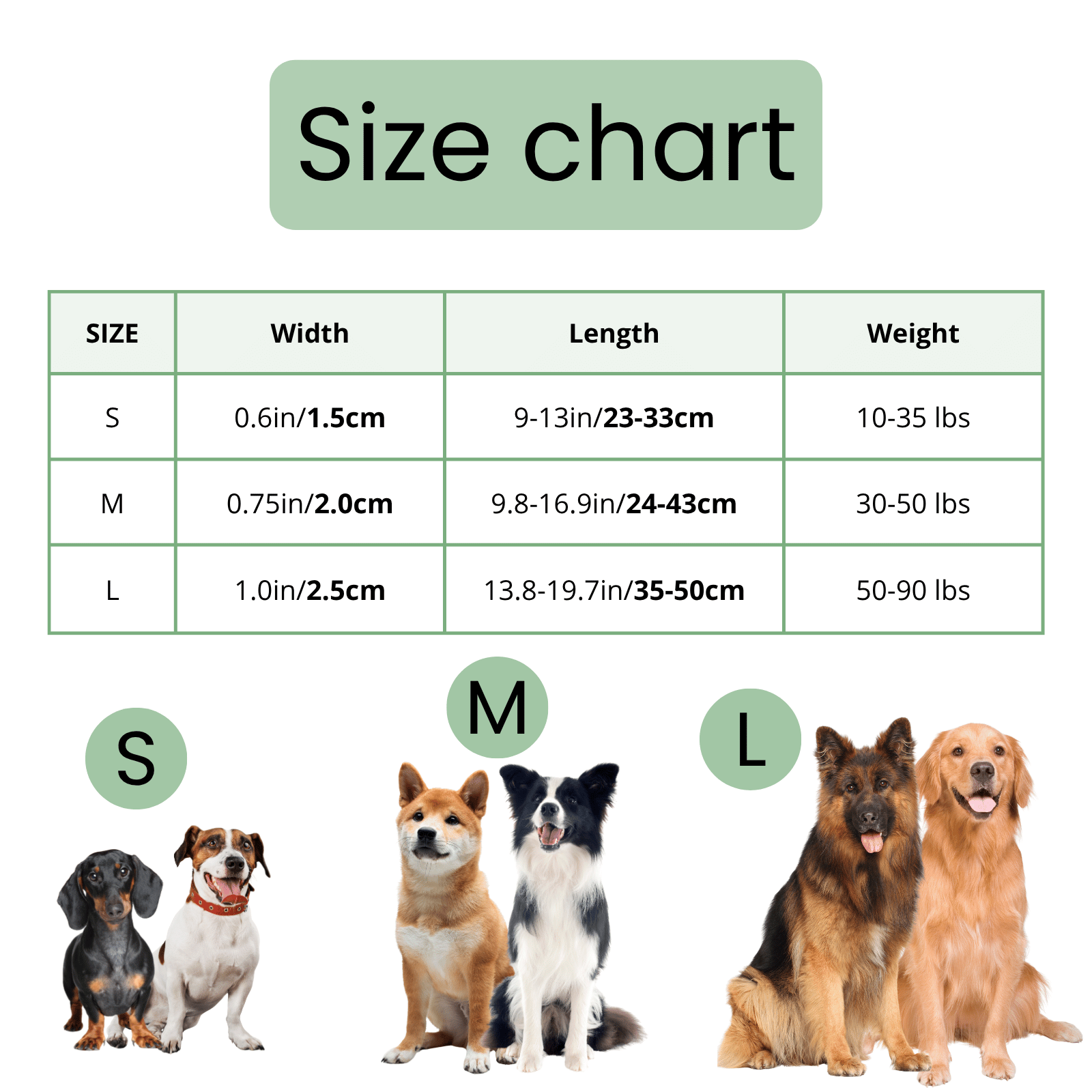 Bluetooth Dog Collar Finder | Works with Apple Find My & Google Find Hub | No Subscription 4