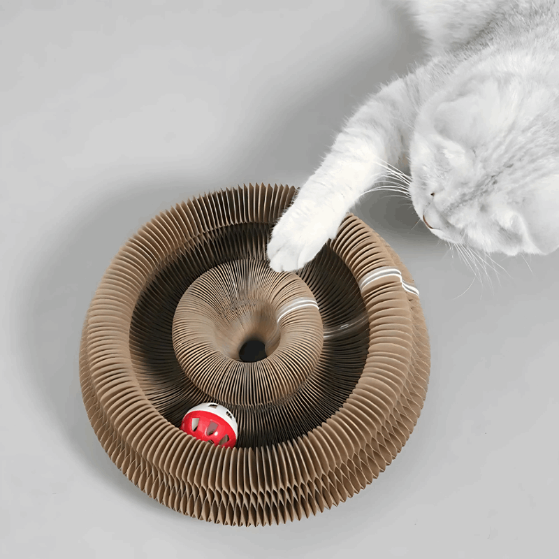 Purrfect Play | Cat Scratcher Maze with Bell Ball & Foldable Design | Eco-Friendly Cardboard for Active Cats 2
