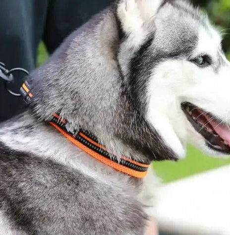 Reflective Dog Collar | Adjustable Fit with Breathable Material | Enhanced Safety for Comfortable Walks 1