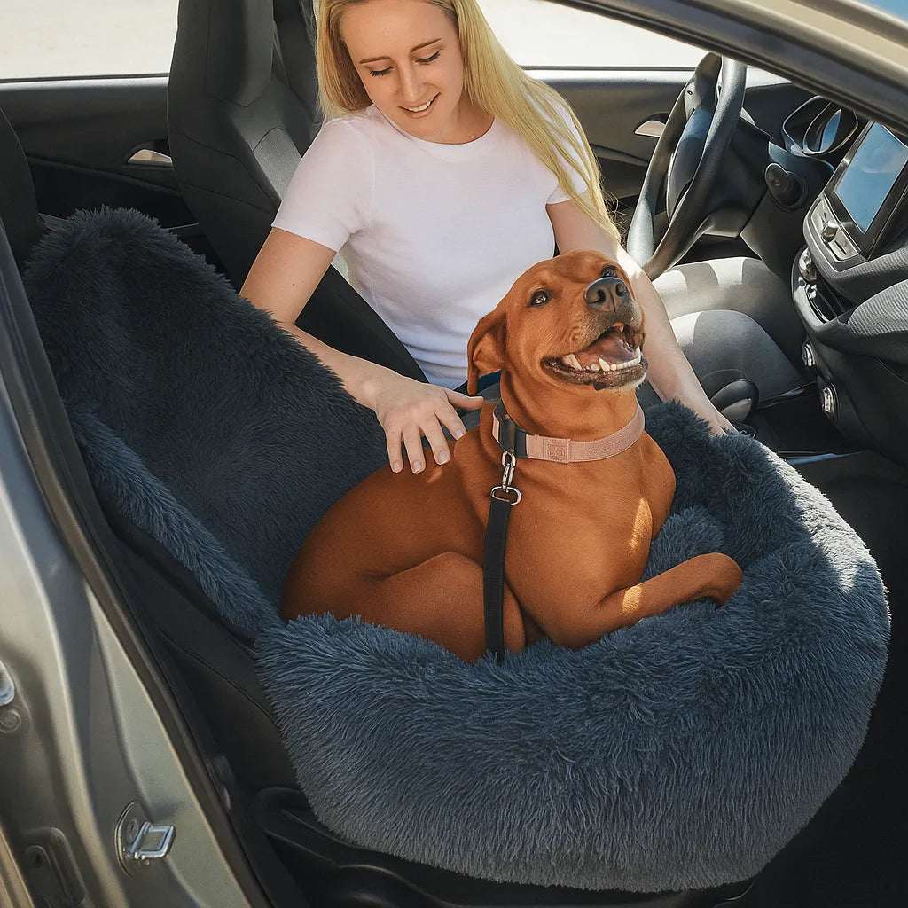 RideBuddy – The Premium Car Seat for Relaxed Dog Travels 2