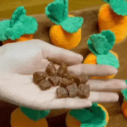 Carrot Garden | Interactive Treat-Hiding Toy for Dogs 1