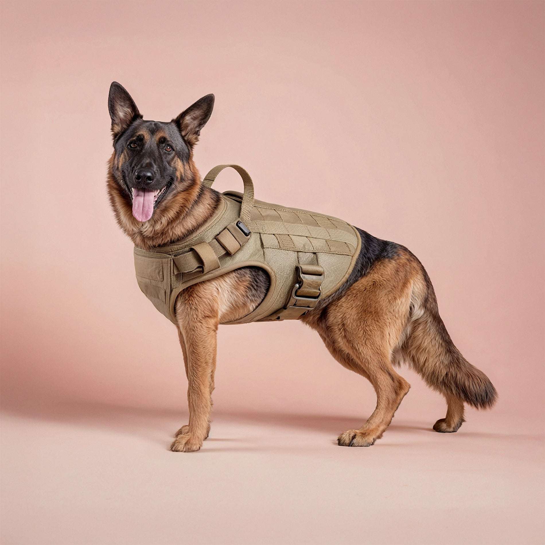 Tactical Dog Harness with No-Pull Control & Handle | Durable Fit for Easy Walking 1