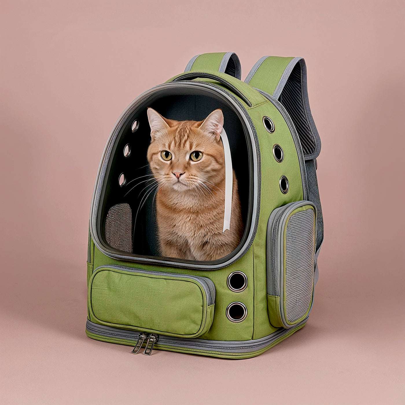 VistaPod | Cat Carrier Backpack with Transparent Design | Comfortable Travel Solution for Anxious Pets 1