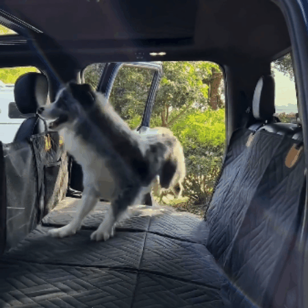 Dog Car Seat Extender | Hard Bottom Backseat Bridge